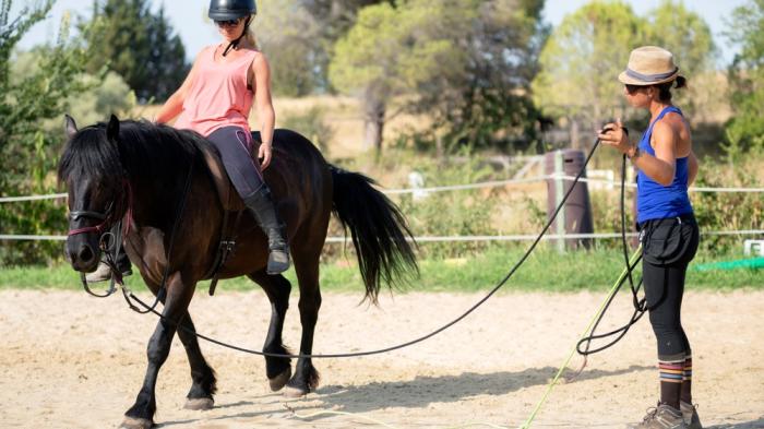 Hippotherapie: Physiotherapie auf dem Pferderücken
